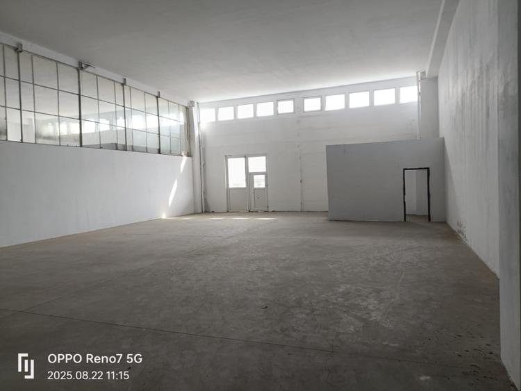 Spatiu industrial/comercial de inchiriat - 6