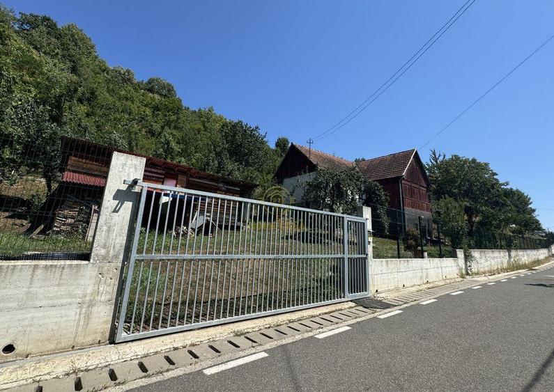 De vanzare Casa cu teren 3500MP in Sabisa/Maramures - 1