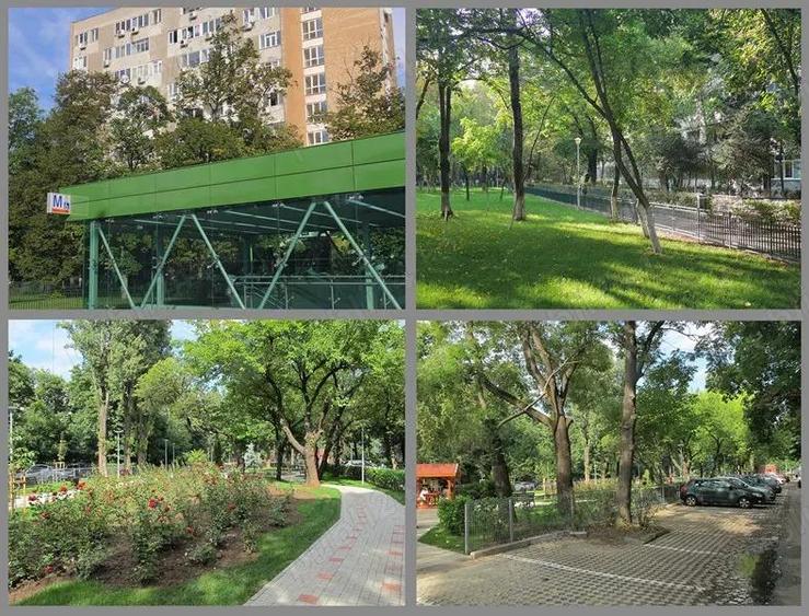 Drumul Taberei Favorit - 6