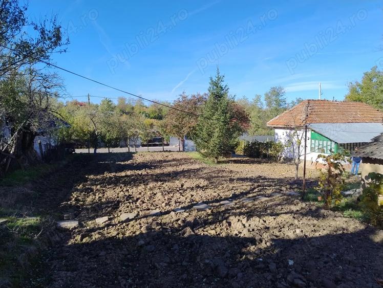 Vand casa batraneasca - 2
