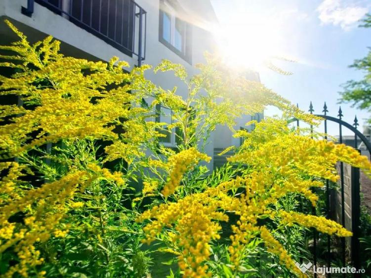 Constructie noua, curte individuala, terasa, toate utilitati - 3