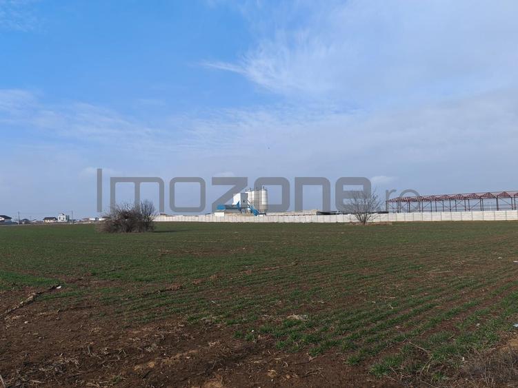 Dragomiresti Valea - Langa Centura, teren 15.600 mp, 35E/mp - 5