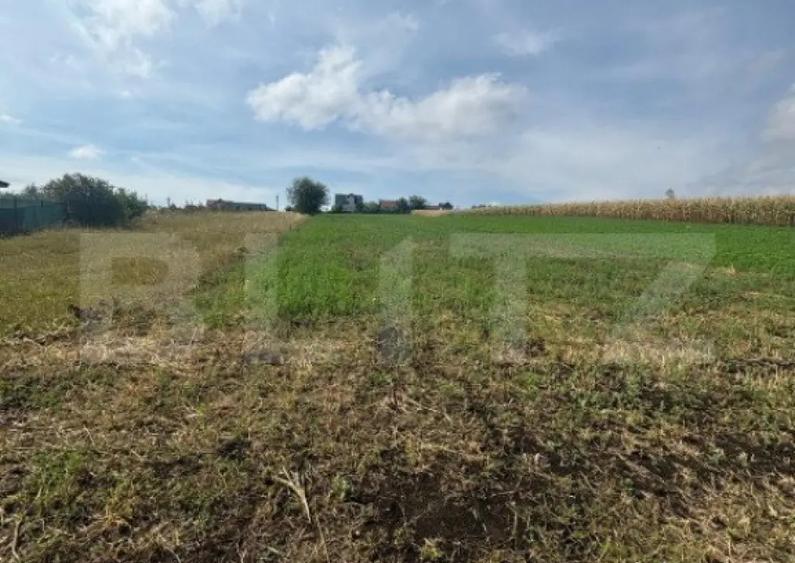 Oportunitate! Teren 25 ari, zona Moara Bulai - 1