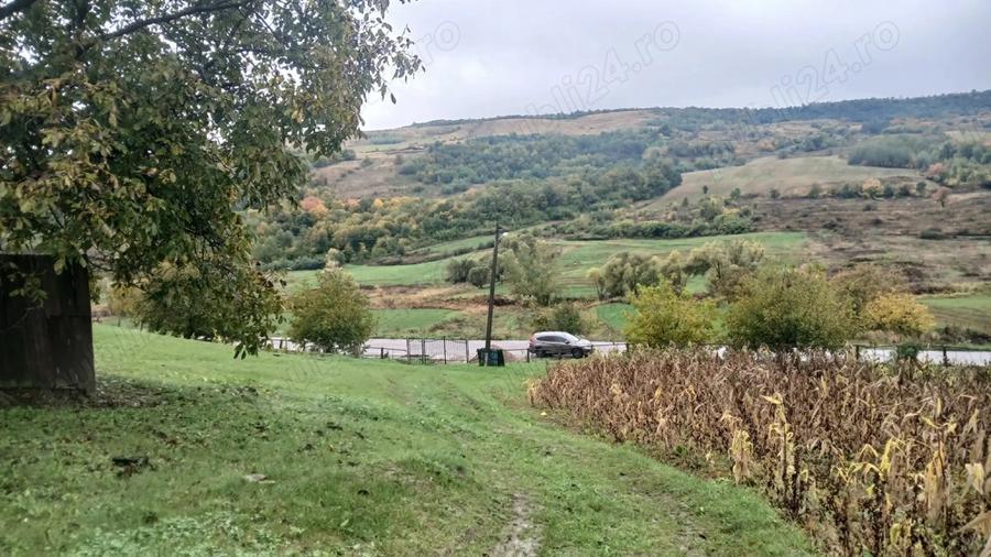 Vand casa batraneasca si teren intravilan in sat Floresti, comuna. Poienesti, jude?ul. Vaslui - 5
