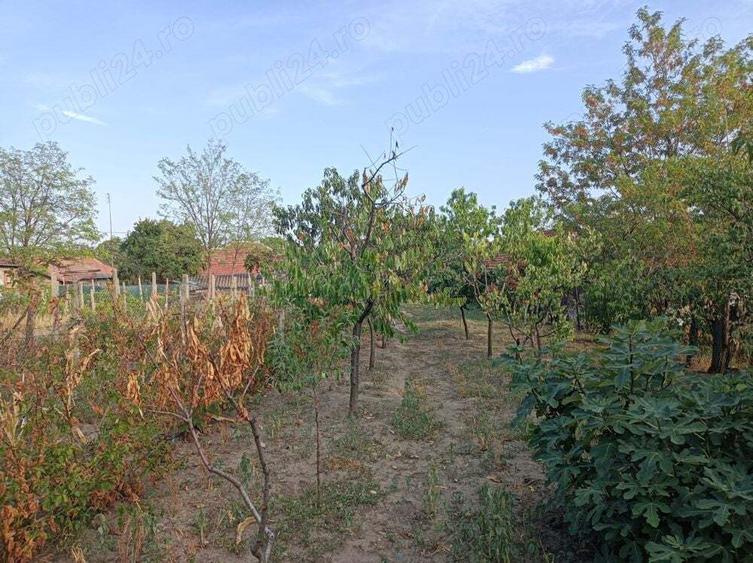 Casa cu curte si gradina - zona linistita si frumoasa - 5