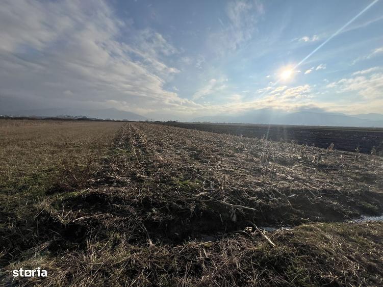 Vanzare Teren Extravilan Comuna Cristian, Zona La Sere - 3