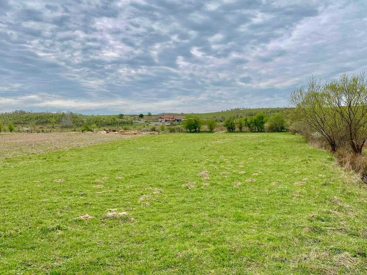 Vand teren extravilan aproape de satul Ezeris - 4