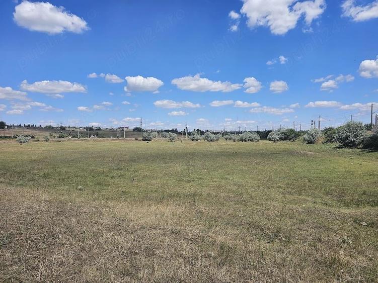 Teren Barbosi 22.000 mp - 3