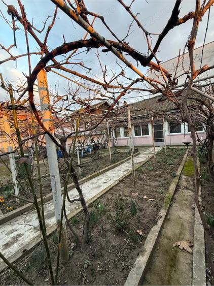 CASA Complex studentesc - 3