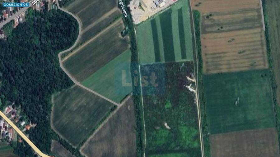 Titu, Dâmbovița - Teren Forestier 7500mp de Vânzare - 1