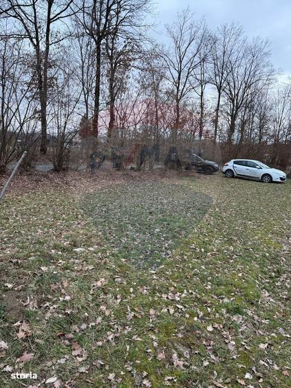 Teren intravilan cu priveliste de vanzare in Rus - 4
