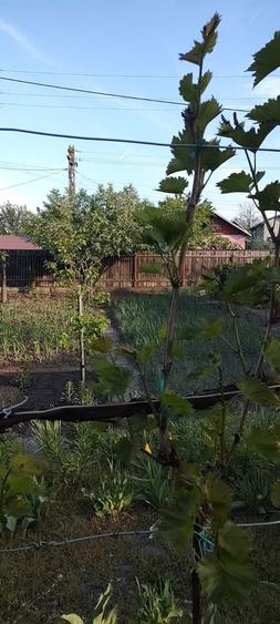 Casa de vanzare in judetul Prahova, comuna Draganesti, sat Baraitaru - 2