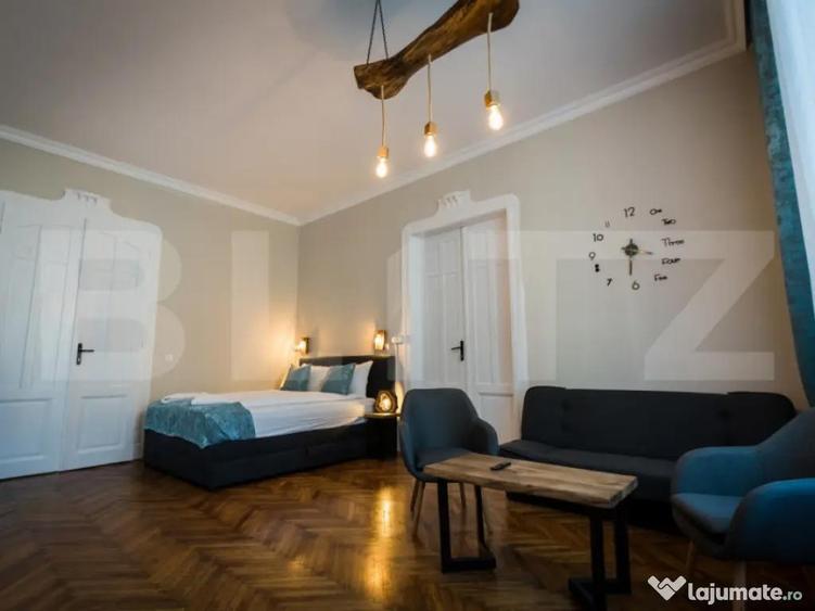 Apartament cu o camera, ultracentral - 5