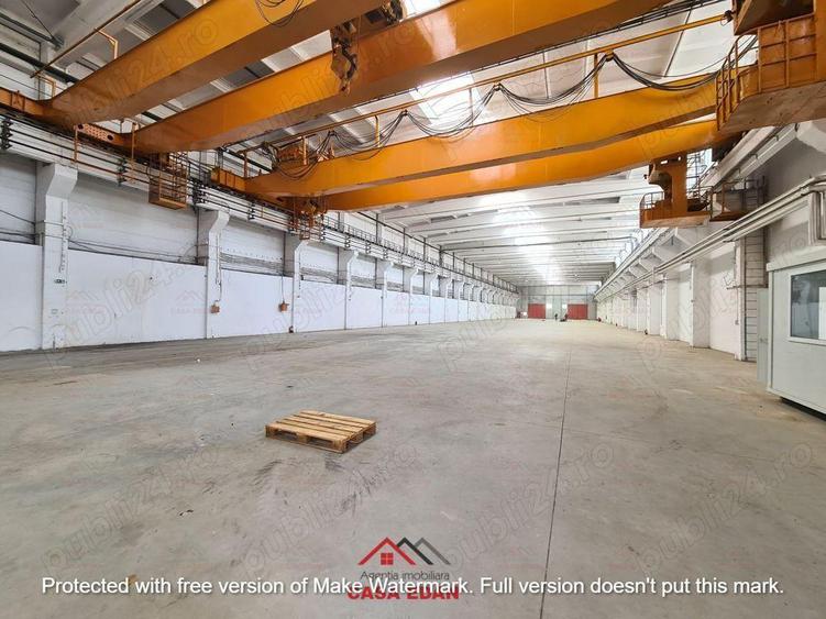 Hale noi in Baicoi, Ph--13.000mp--3e - 13