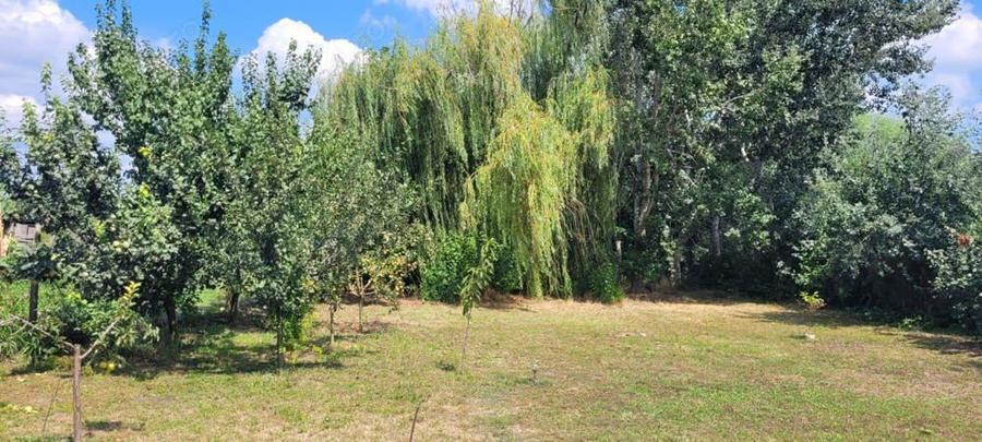 Casa cu deschidere la canal in Murighiol - 1