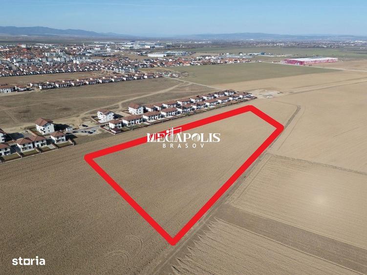 Teren 12.500 mp Ghimbav Cartierul Florilor | Ghimbav - 5