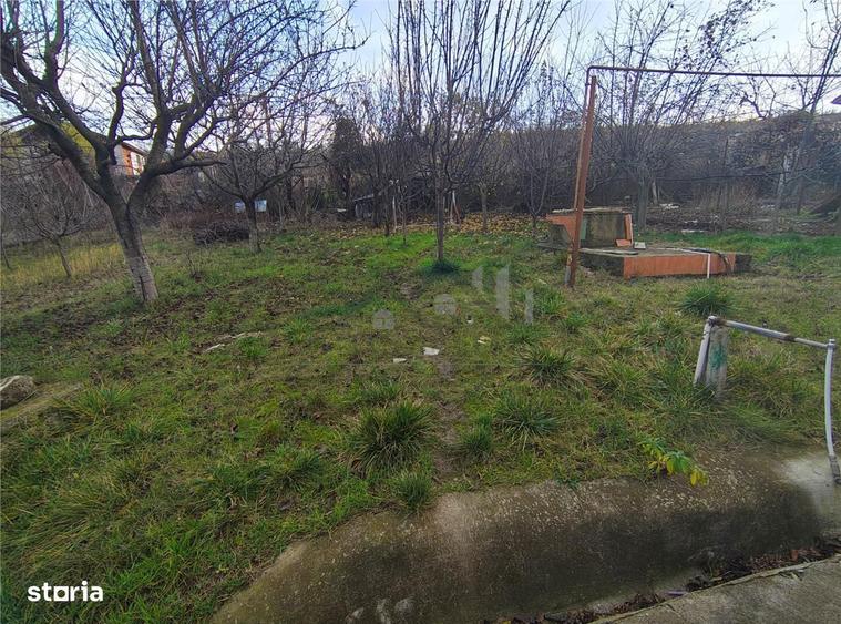 Teren Bucium - Trecatoarea Paun - 7