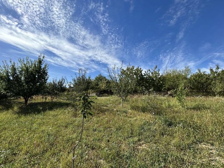 Casa de vanzare, parter 4 camere, garaj, 1424mp teren - Bucium- Vișani, IASI - 1