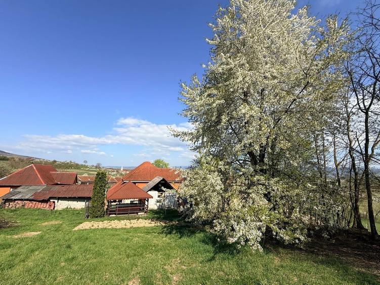 Vand casa sat Dobricionesti Bihor - 4