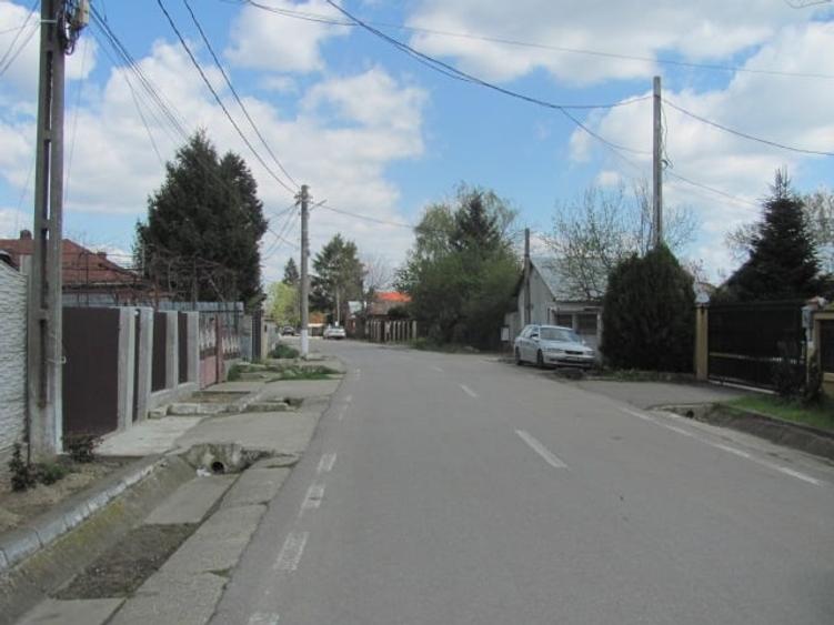 Cornetu - Lalelelor, Stradal - 9