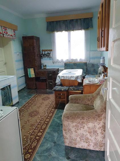 Casa Faget Timis - 1