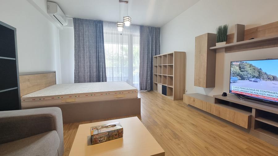 Iancu Nicolae/Residence 5 /Studio elegant / - 6