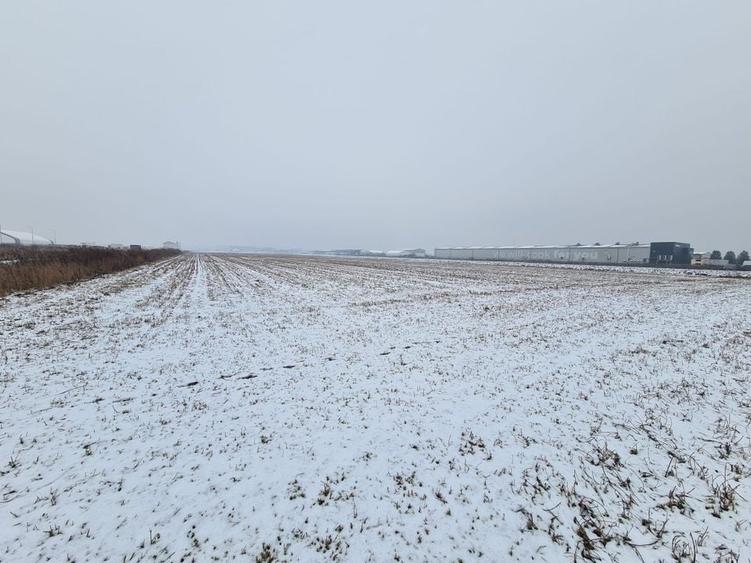 Teren industrial de vanzare in Stupini - 4