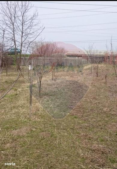 Teren 2,500mp Picaturile / Strada Principala - 4