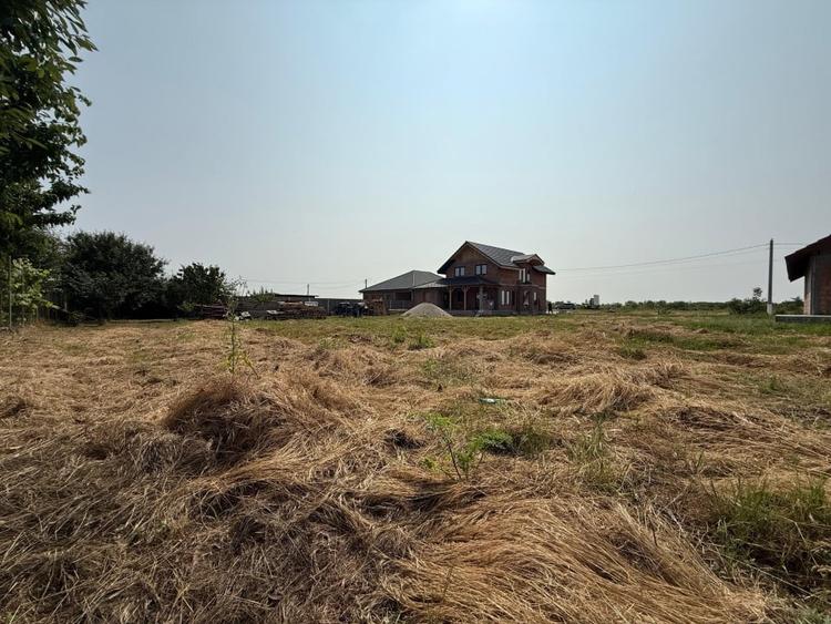 Inchiriem viitorul pe metru patrat, teren 800 mp, intravilan-Peciu Nou - 3