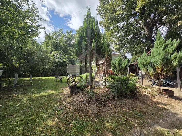 Teren deosebit cu cabana din lemn, Tocile loca?ie lini?tita - 11