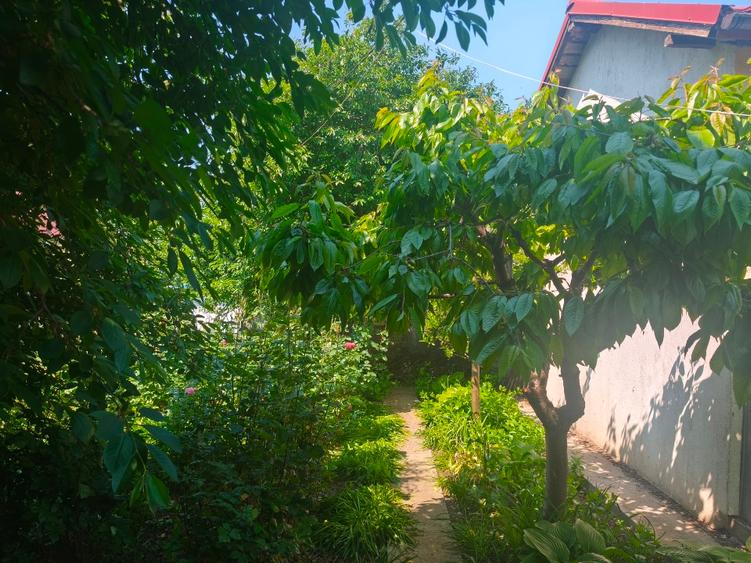 Vand teren intravilan ultracentral , 279 mp, Galati - 9