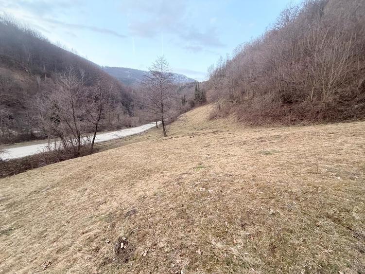 Vand Teren Valea Streiului ! - 6