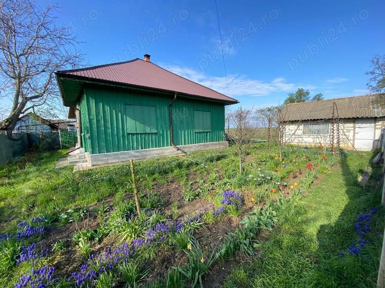 Vand casa Crunti, Ialomita - 6