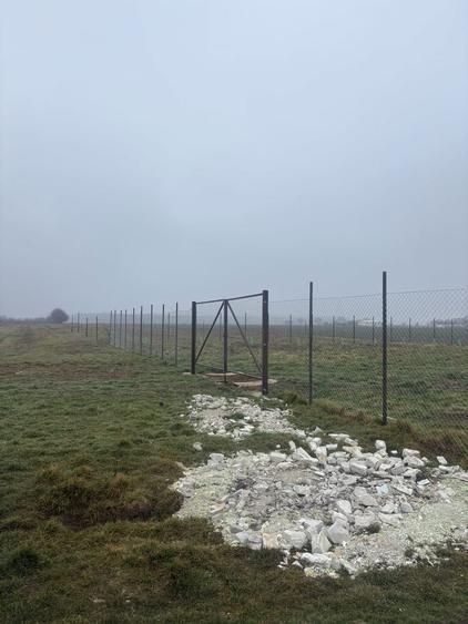 Teren de vanzare in comuna Dascalu, jud. Ilfov - 2