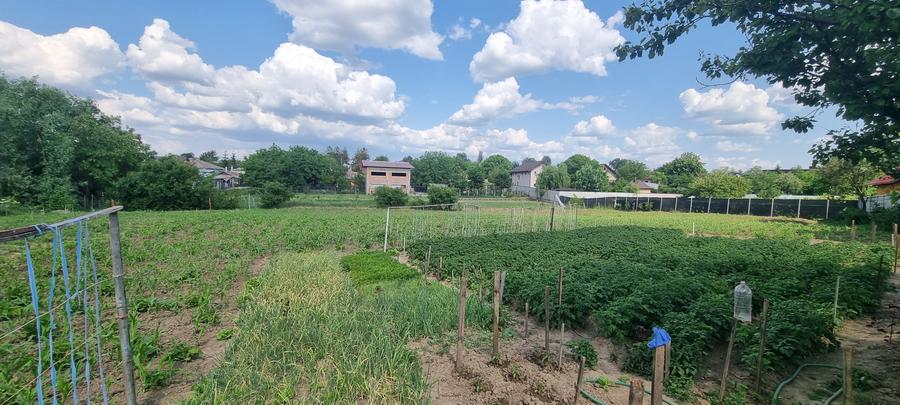 Casa renovata cu 2857mp teren Liceul Pedagogic - 13