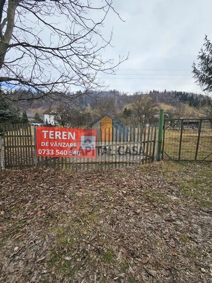 Teren intravilan in Moeciu de jos – Vedere panoramică Piatra Craiului - 4