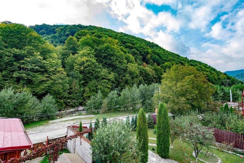 Afacere la cheie - Pensiunea Raiul de pe Râu - Munții Bucegi - 4