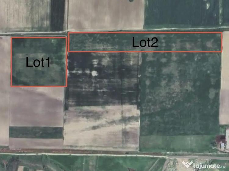 2.5 hectare teren agricol - 1