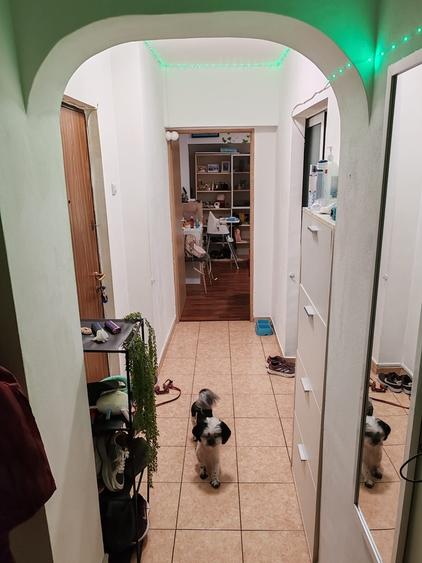 Parcul Sebastian,bl.1988,p/8,decomandat,2 bai,geam la baie,loc parcare,Amenajat - 9