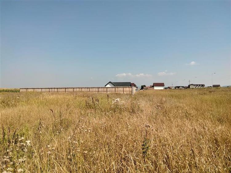 Teren intravilan la intrare in Bod dinspre Sanpetru - 6