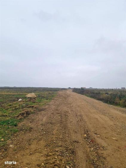 Teren Grigorescu 2 - 2