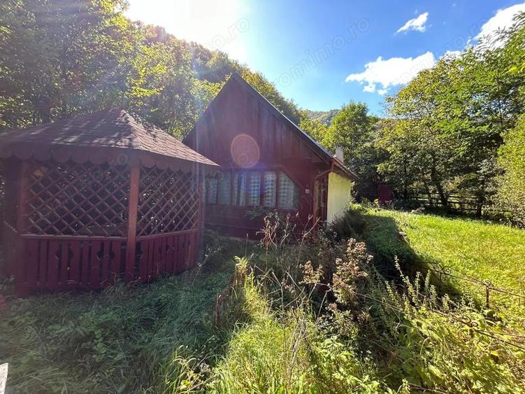 Cabana de vanzare, Valea Manastirii - Ramet - 6