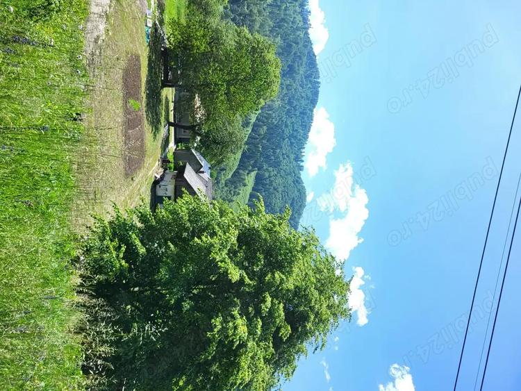 Teren si casa Sat Tarcau zona Garii - 7