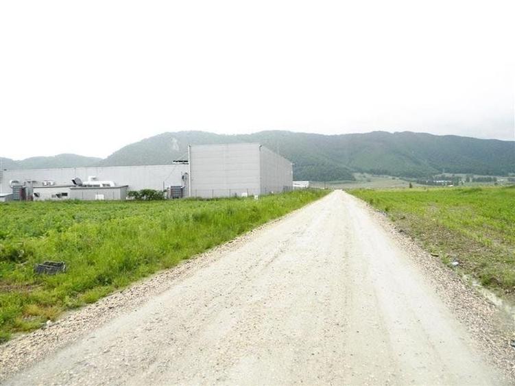 Teren pentru hale-Ghimbav-Joysonquin - 6