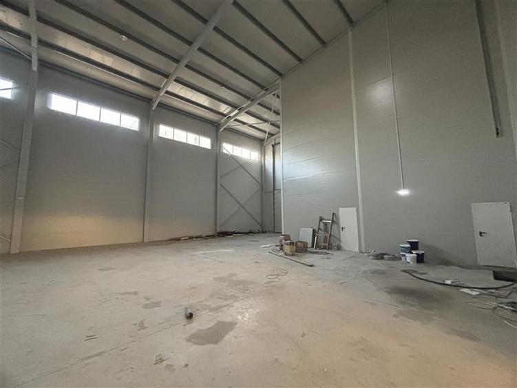 Vanzare depozit/hala/spatiu industrial Mogosoaia - Centura - 7