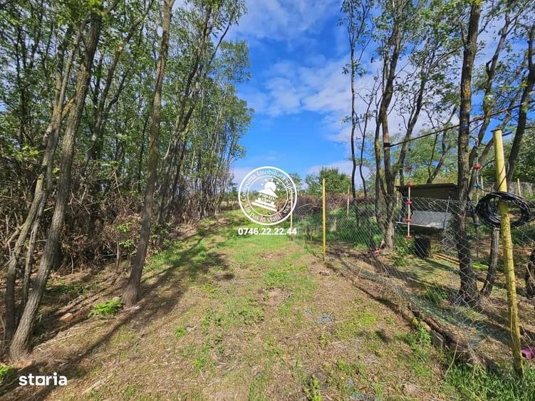 Teren intravilan 904 mp, langa padure - Aroneanu , Iasi - 6