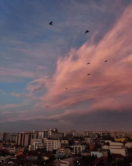 Vitan auchan olimpia etaj 9 - 5