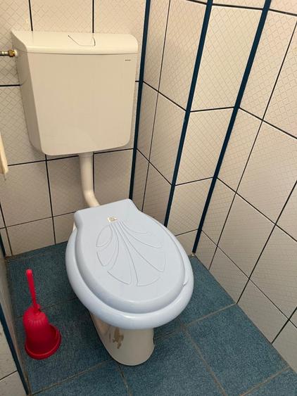 Inchiriez spațiu comercial Tudor Vladimirescu  - 4