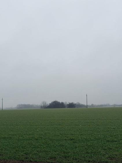 Teren Extravilan - 1