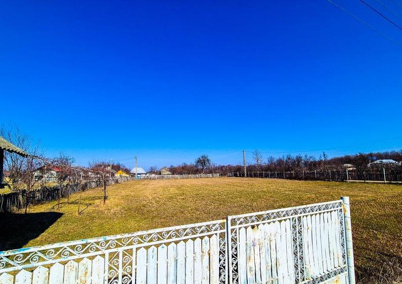 Teren Intravilan Cuca Arges - 5